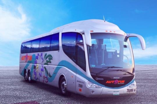 Autobús para traslado de grupos en Cancún
